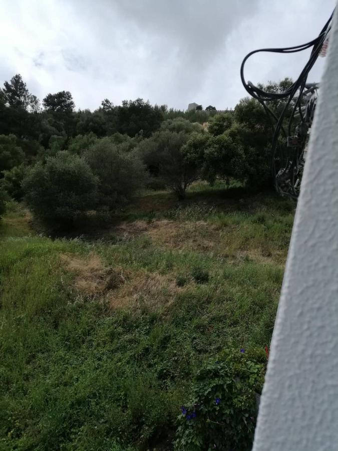 세심브라 Casa Vale Do Paraiso 아파트 외부 사진
